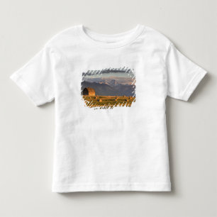 Gammal lada ramad av höbalar och dramatisk tee shirt