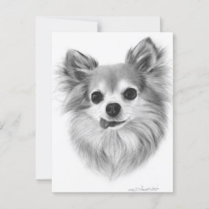 Gammal, långfärgad Chihuahua Hand målade teckninga Vykort
