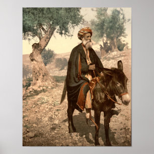 Gammal man från Bethlehem på en åsna Poster