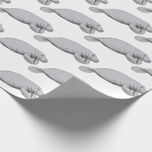 Gammal manatetechning presentpapper