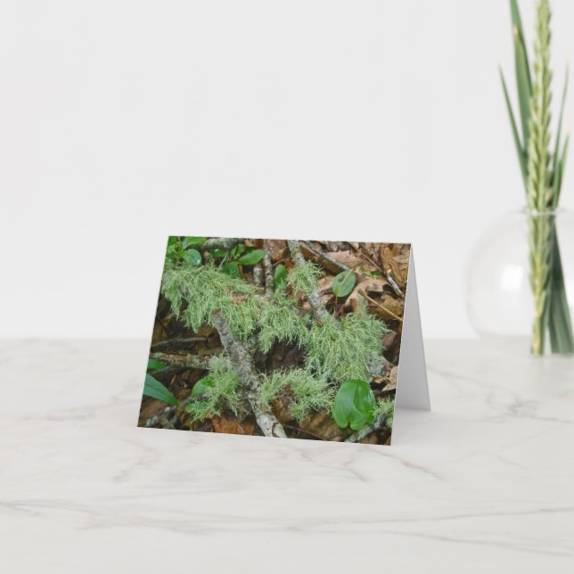 Gammal mans Beard Lichen Note Card Kort (Framsida)