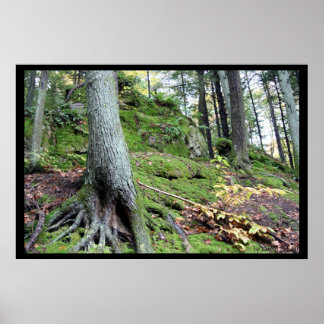 Gammal mans grottråd nr 1 poster