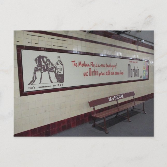 Gammal Mortein Ad i Museum Station vykort (Framsida)