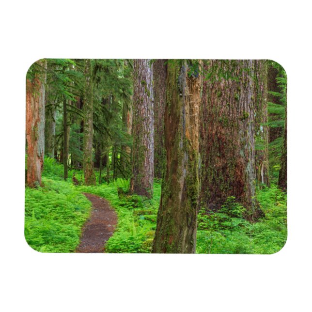 Gammal naturskog magnet (Horisontell)