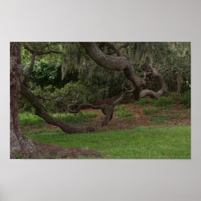 Gammal Oak Poster (Framsidan)
