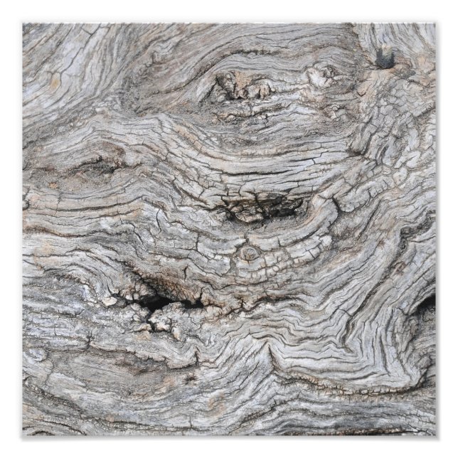 Gammal olivträdsbark Textur Foto Print (Framsidan)