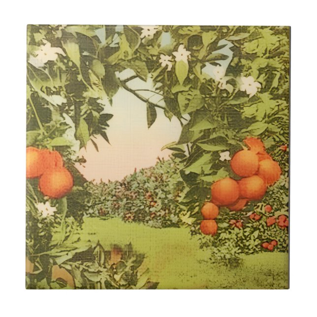 Gammal orangeodling kakelplatta (Framsidan)