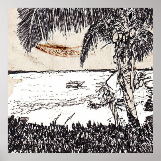 Gammal papperskokospalm, Bahamas Poster