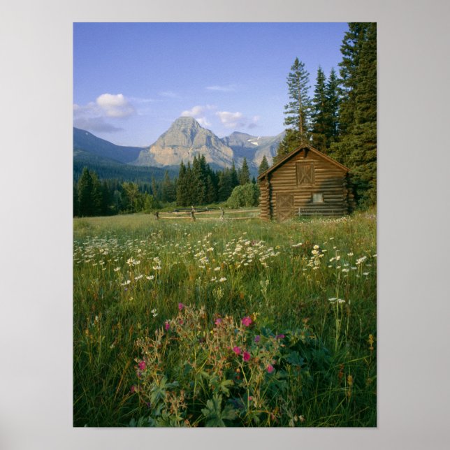 Gammal Park Service-stuga i Cut Bank Valley Poster (Framsidan)