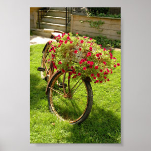 Gammal Planter för blomma för cykelgräsmattadek Poster
