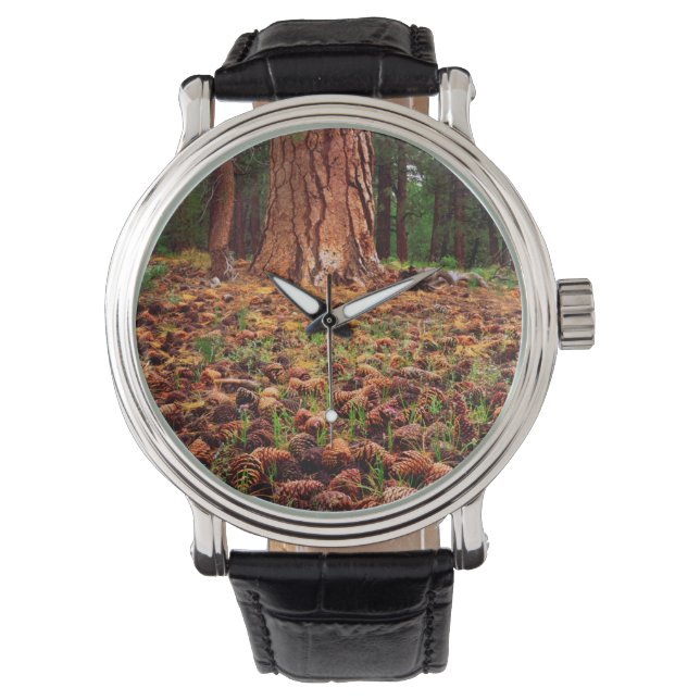 Gammal Ponderosa-tall med tallkottar Armbandsur (Framsida)