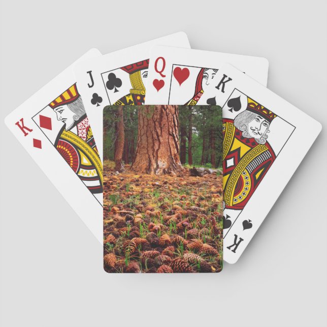 Gammal Ponderosa-tall med tallkottar Spel Kort (Baksidan)