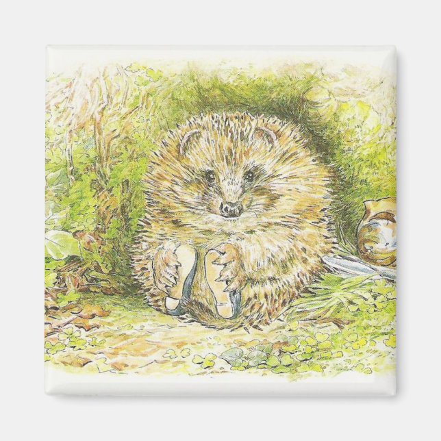 Gammal Prickly Pin (Hedgehog) (av Beatrix-Potterna Magnet (Framsidan)