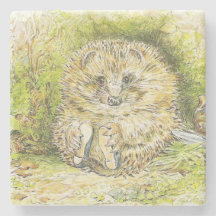 Gammal Prickly Pin (Hedgehog) (av Beatrix-Potterna