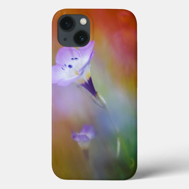 Gammal punkt Loma Lighthouse | Cabrillo Monument (Baksida)