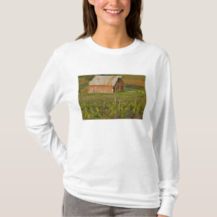 Gammal röd lada vid kanten av Zinfandel vingård Tee Shirt