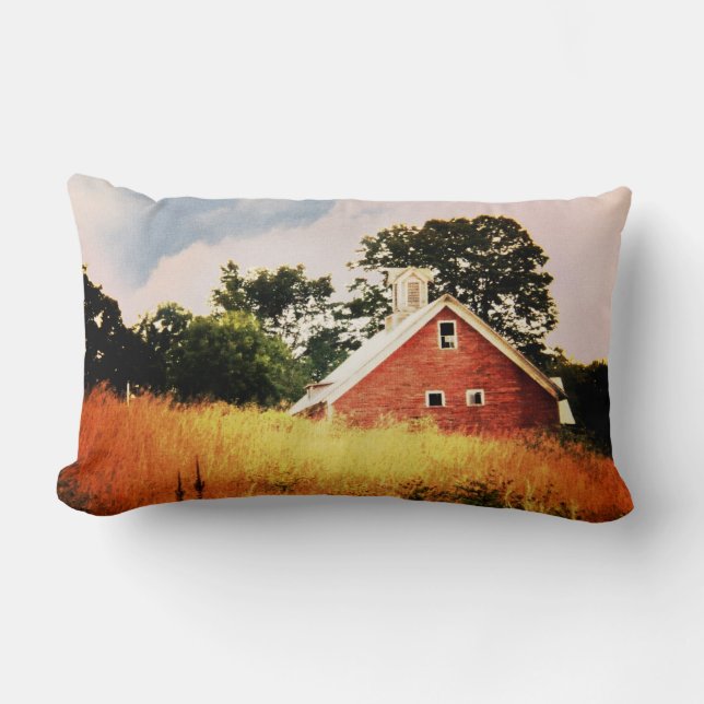 Gammal röd ladugård lumbarkudde (Framsida)