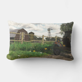 Gammal röd ladugård och rostig lumbarkudde