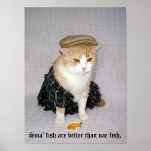 Gammal skotsk fold Say Poster