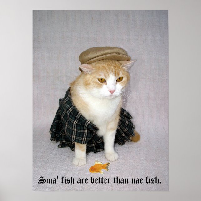 Gammal skotsk fold Say Poster (Framsidan)