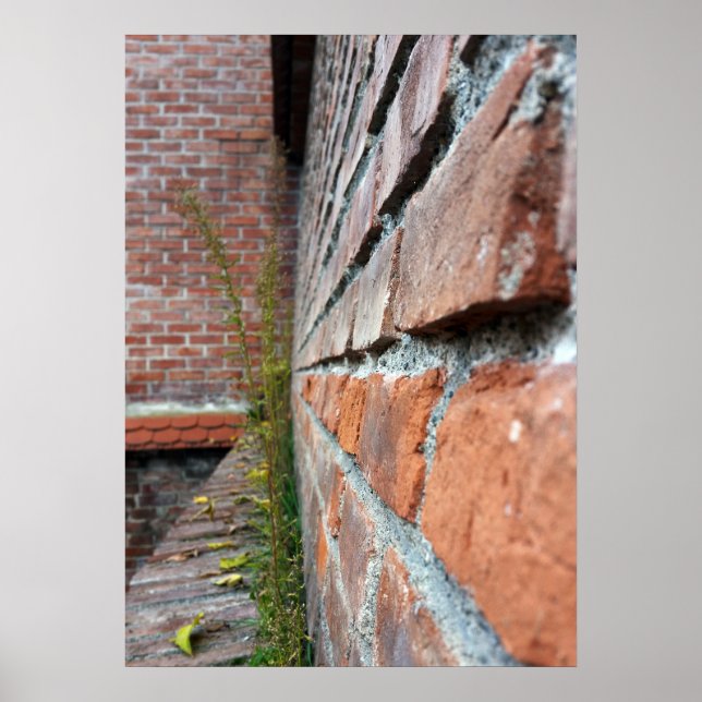 gammal stadsmur poster (Framsidan)