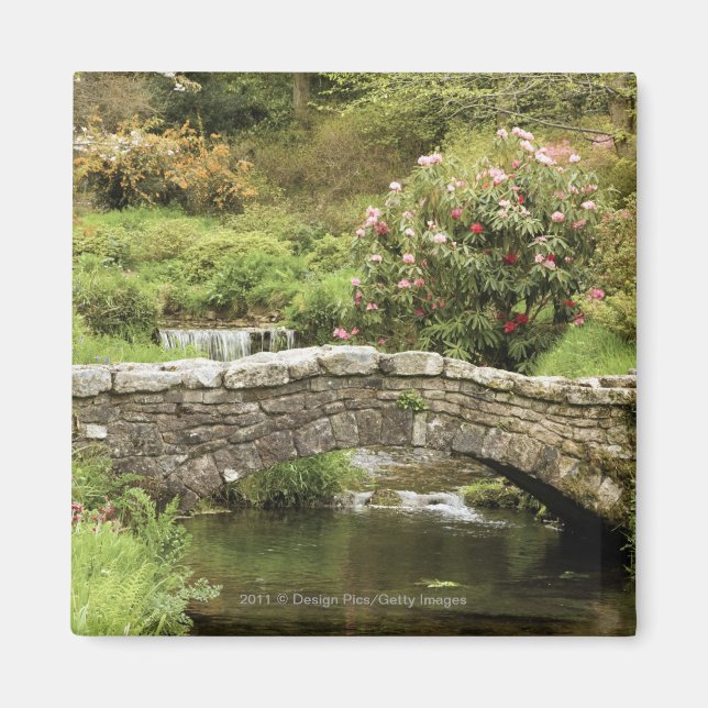 Gammal stenbro över en ström i Dartmoor Park Magnet (Framsidan)