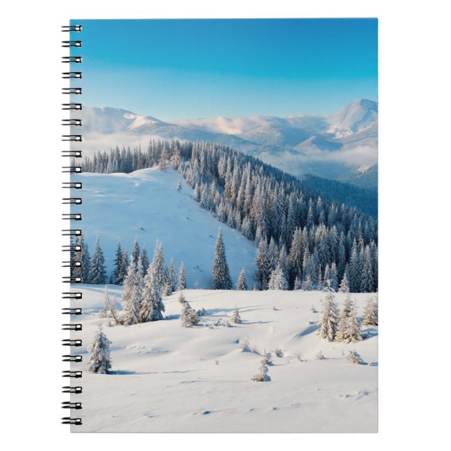 Gammal struktur eller bakgrund med termi anteckningsbok (Framsidan)