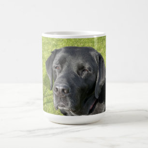 Gammal Svart lab Kaffemugg