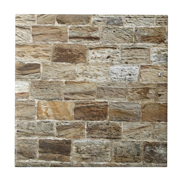 Gammal tegelstenvägg kakelplatta (Framsidan)