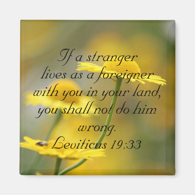 Gammal testamentets bibelskriptsoffert - Leviticus Magnet (Framsidan)