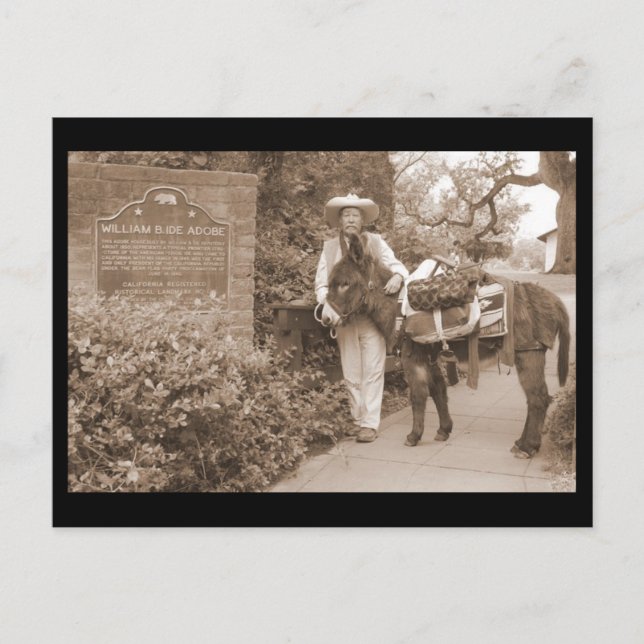 Gammal Time åsnavykort Vykort (Framsida)