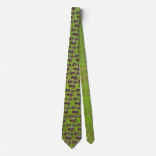 GAMMAL TRACTOR-TIE SLIPS