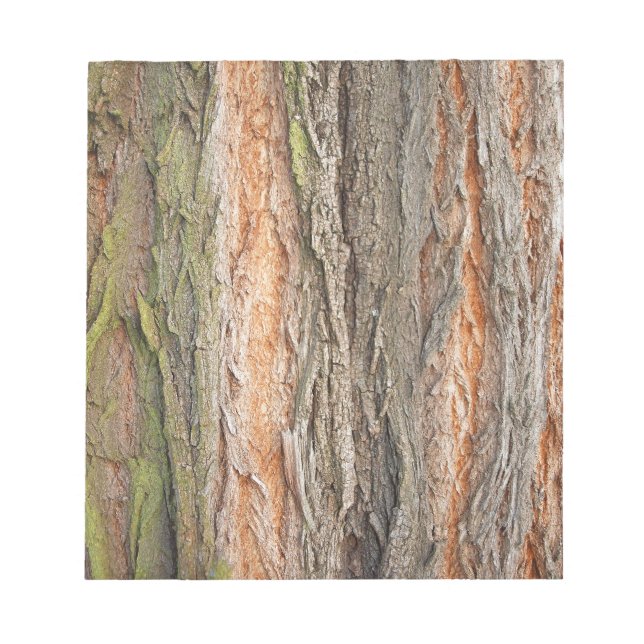 gammal träd anteckningsblock (Framsida)