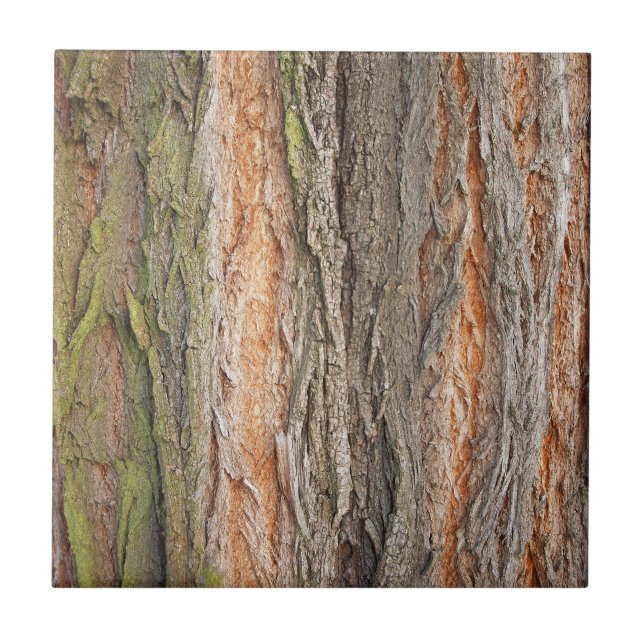 gammal träd kakelplatta (Framsidan)