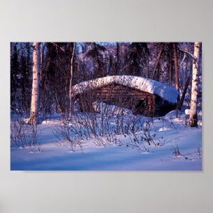 Gammal trappers kabin poster