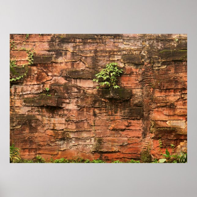 Gammal trasig tegelvägg poster (Framsidan)