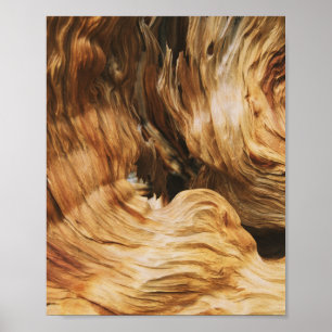 gammal träsort mönster struktur poster