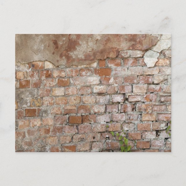 Gammal vägg vykort (Framsida)