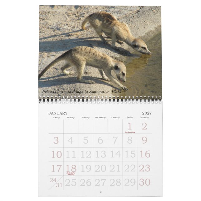 Gammal vän nya vänner - FKMP-kalender 2011 Kalender (Jan 2027)