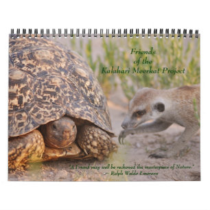 Gammal vän nya vänner - FKMP-kalender 2011 Kalender
