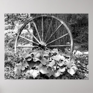 Gammal Wagon Wheel Garden Black and White Poster