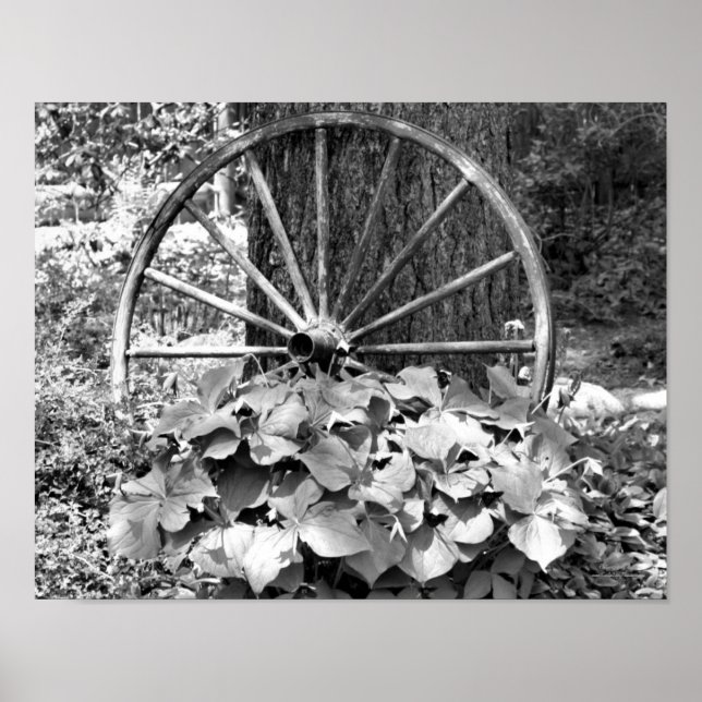 Gammal Wagon Wheel Garden Black and White Poster (Framsidan)