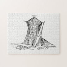 Gammala anatomiillustrationmuskler av nacken