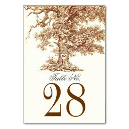 Gammala Bordsnummer i Träd Bröllop