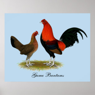 Gammala engelskalekBantams: Den röda BBEN parar Poster