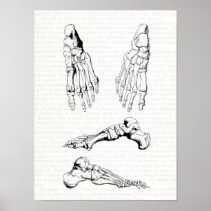 Gammala medicinska ben för konstmänniskaanatomi poster