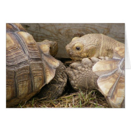 Gammala skvaller hälsningskort