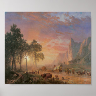 Gammala västernplatsnötkreatur kör poster