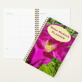 Gammaldags Klätter Planner
