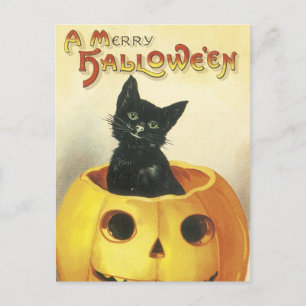 Gammalmodig glad Halloween katt Helg Vykort
